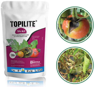 TOPILITE 70% W.P